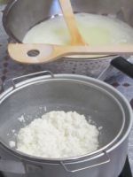 牛乳豆腐作り 牛乳豆腐作り